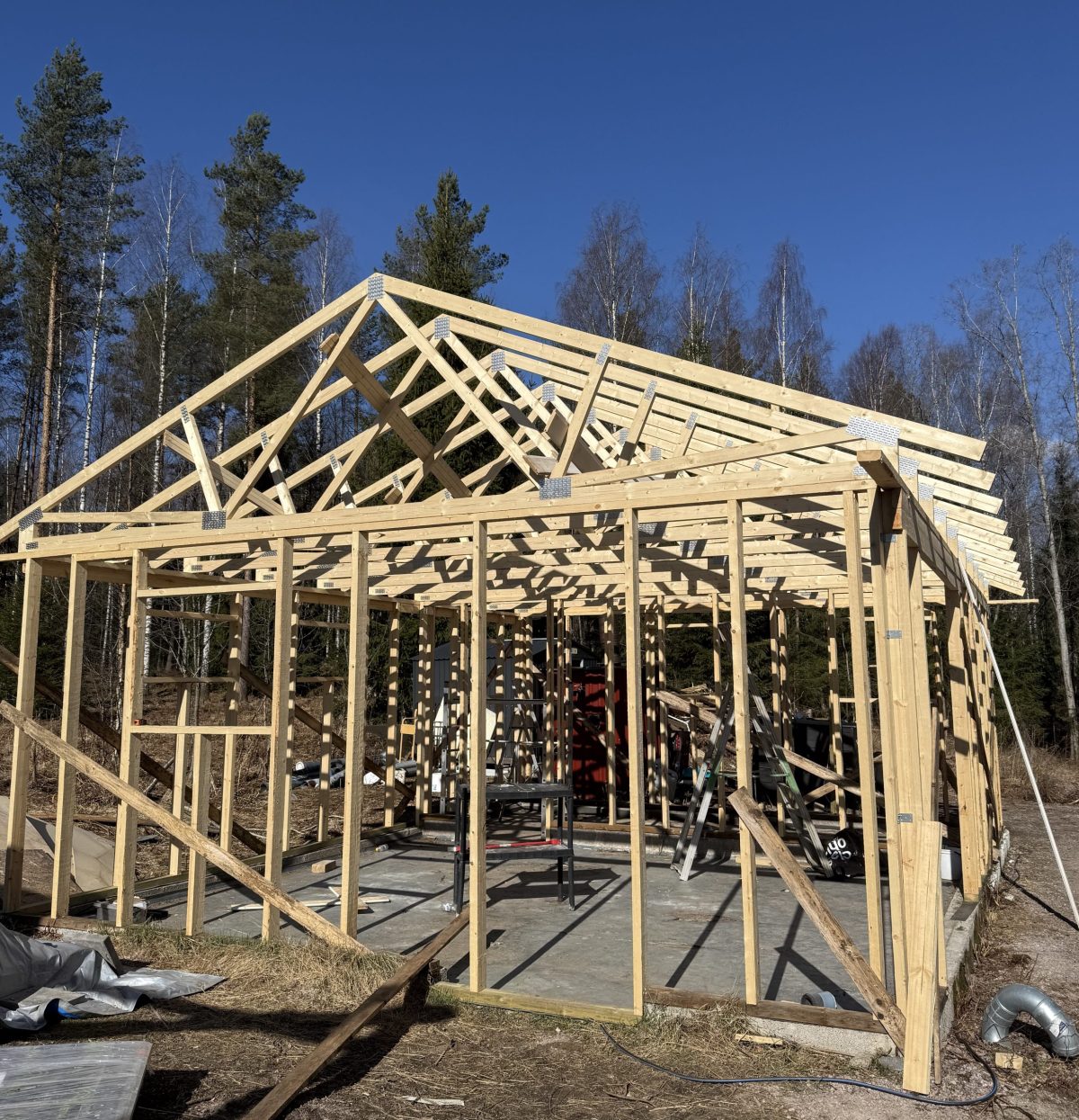 project_sisu_progress